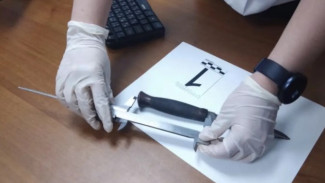 Жительница Шурышкарского района отправится в колонию за удар ножом в шею знакомому