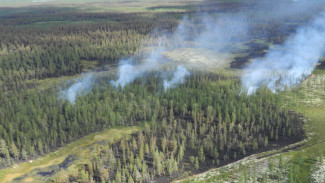 На Ямале продолжает увеличиваться площадь лесных пожаров