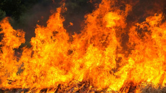 Шестые сутки в самом эпицентре пожаров: ямальские спасатели помогают тушить тюменские леса