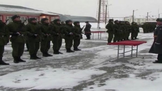 Ряды Вооруженных силы России пополнят более 40 губкинских ребят