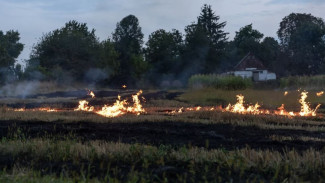 Горячая пора: от природных пожаров Ямал защитят 598 человек