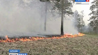 Лесные пожары на Ямале начались на две недели раньше обычного
