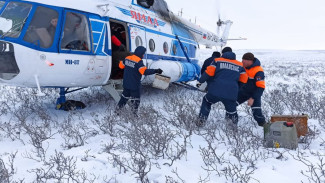 Ямальские спасатели девять дней искали тело погибшего оленевода в Сеяхинской тундре