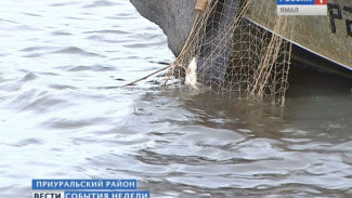Прокуратура Приуральского района заставила полицию возбудить уголовное дело против браконьеров