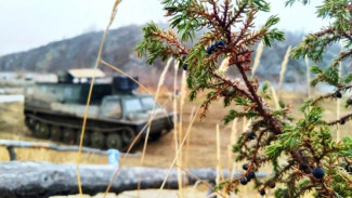 Мастер-планы развития Арктической зоны до 2035 года потребуют 2,9 трлн рублей инвестиций