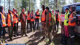 В ЯНАО ищут потерявшегося в лесу мужчину