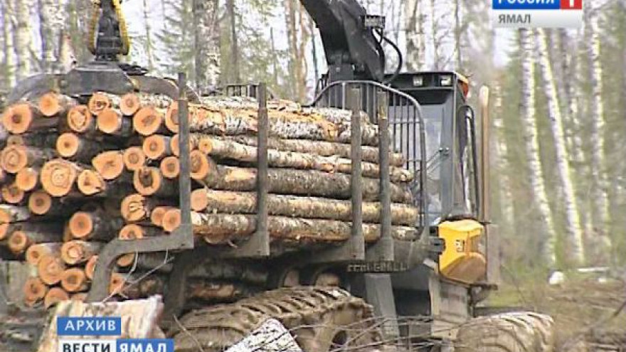 Многодетным семьям Лабытнанги предложили проекты домов из бруса