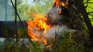 На Ямале огонь охватил свыше 3 тысяч гектаров леса