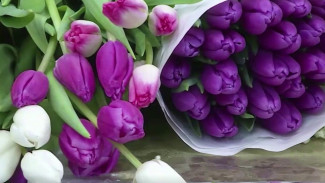 Тюльпаны вместо манифестов: как 8 Марта стал самым нежным днем в году