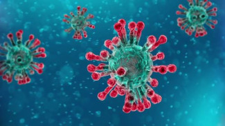 Как звучит опасный вирус? Ученые записали мелодию COVID-19