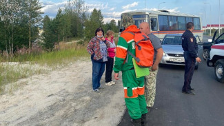 Заблудились в лесу: на Ямале спасатели искали очередных грибников 