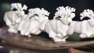 Северная душа в кости: выставка Кривошеина открылась в Тюмени