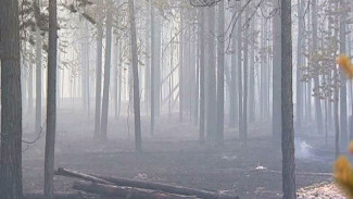 В Пуровском районе обнаружены два очага возгорания