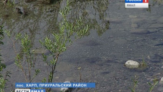 На Полярном Урале неизвестные загрязнили нефтепродуктами побережье горной реки