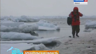 Этот год для парка «Русская Арктика» стал более чем успешным