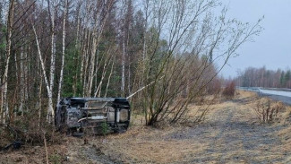 На трассе Сургут — Салехард в ДТП пострадал водитель иномарки