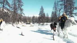 Более восьми тысяч километров верхом: 2 смельчака из Якутии отправились в Москву на лошадях