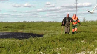 В лесу около Муравленко спасатели нашли потерявшегося мужчину