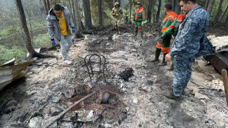 На Ямале при тушении лесного пожара нашли тела двух человек 