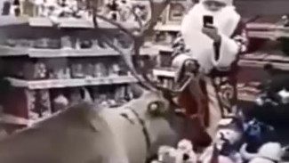 ВИДЕО: Дед Мороз и олень пришли в магазин закупаться подарками 