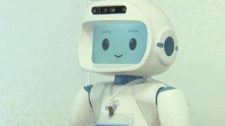 В Губкинской коррекционной школе появился робот-терапевт 