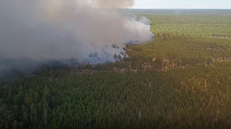 На Ямале действуют четыре лесных пожара на площади 470 гектаров