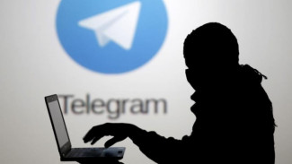 В Ноябрьске осужден член банды «закладчиков», работавших через Telegram