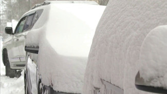 За сутки в Салехарде белых хлопьев намело больше, чем листьев в осеннем саду