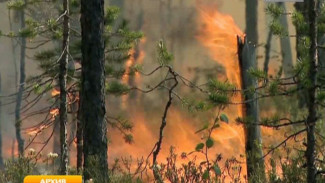 Какие ресурсы брошены на борьбу с лесными пожарами на Ямале