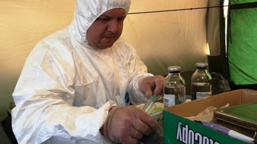 В Ямальском районе началась вакцинация оленей от сибирской язвы