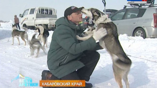 В Хабаровском крае прошли традиционные гонки на собачьих упряжках «Амурская метель»