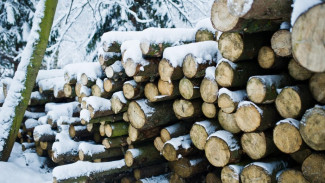 Студенческий Снежный десант отправится помогать жителям Шурышкарского района