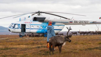 Завершилась обсервация кочевников Ямальской тундры, эвакуированных по подозрению на COVID-19