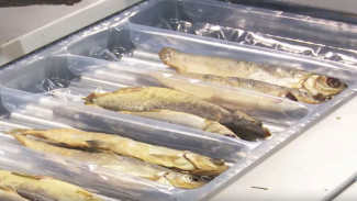 На Салехардском комбинате выбрали лучшую щепу для копчения пыжьяна