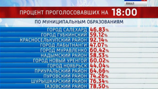 На 6 вечера проголосовало более 58 процентов ямальских избирателей