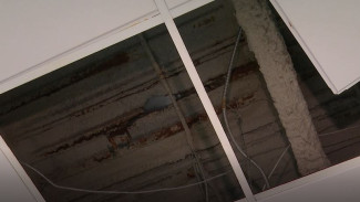 С потолка бежит вода: салехардский лицей нуждается в срочном капремонте 