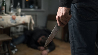 Житель Тазовского района получил 9 лет строгого режима за убийство