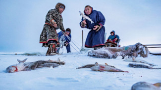 Результат летних встреч: с января следующего года увеличат субсидии для рыбодобывающих предприятий