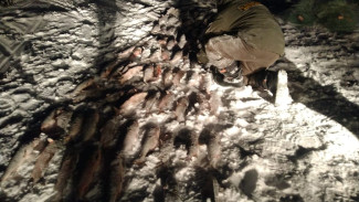 На Ямале с поличным поймали браконьера с крупным уловом