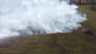 Люди и животные не пострадали: в природном парке «Ингилор» произошел пожар