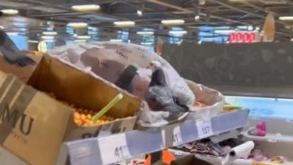 Салехардцев возмутили голуби, живущие в местном супермаркете 