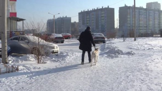 Это страшное утро запомнится надолго: Сибирь встряхнуло сильное землетрясение