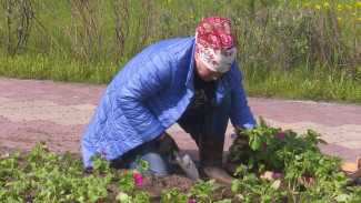 Города и села расцветают: на Ямале приступили к высадке декоративных растений
