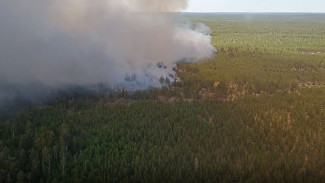 На Ямале действуют четыре лесных пожара на площади 470 гектаров