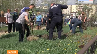 «Посади дерево - спаси планету». Новый лозунг ямальских пожарных