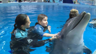 Губернатор Ямала исполнил мечту юного жителя Нового Уренгоя поплавать с дельфинами