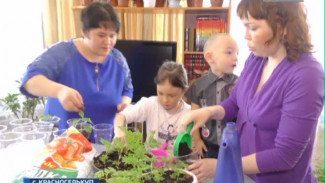 От детей для детей. В Красноселькупском приюте начали готовиться к благотворительной ярмарке