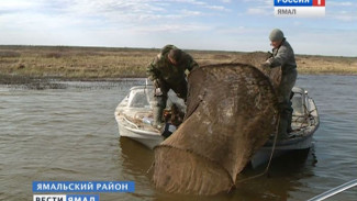 Река старая, да закон новый. Магистральные будни обской рыбоохраны