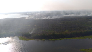 Гроза стала причиной крупного пожара на Ямале. Огонь охватил более 80 гектаров леса