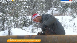 В селе Мужи начали обновлять электросетевые объекты